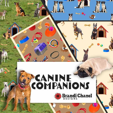 Category Image Canine Companions Small-1