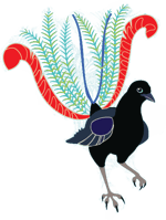 Lyrebird